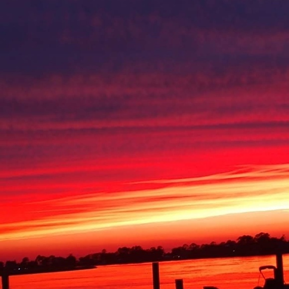 Meet your Posher, Lexi - Picture 1 of 1